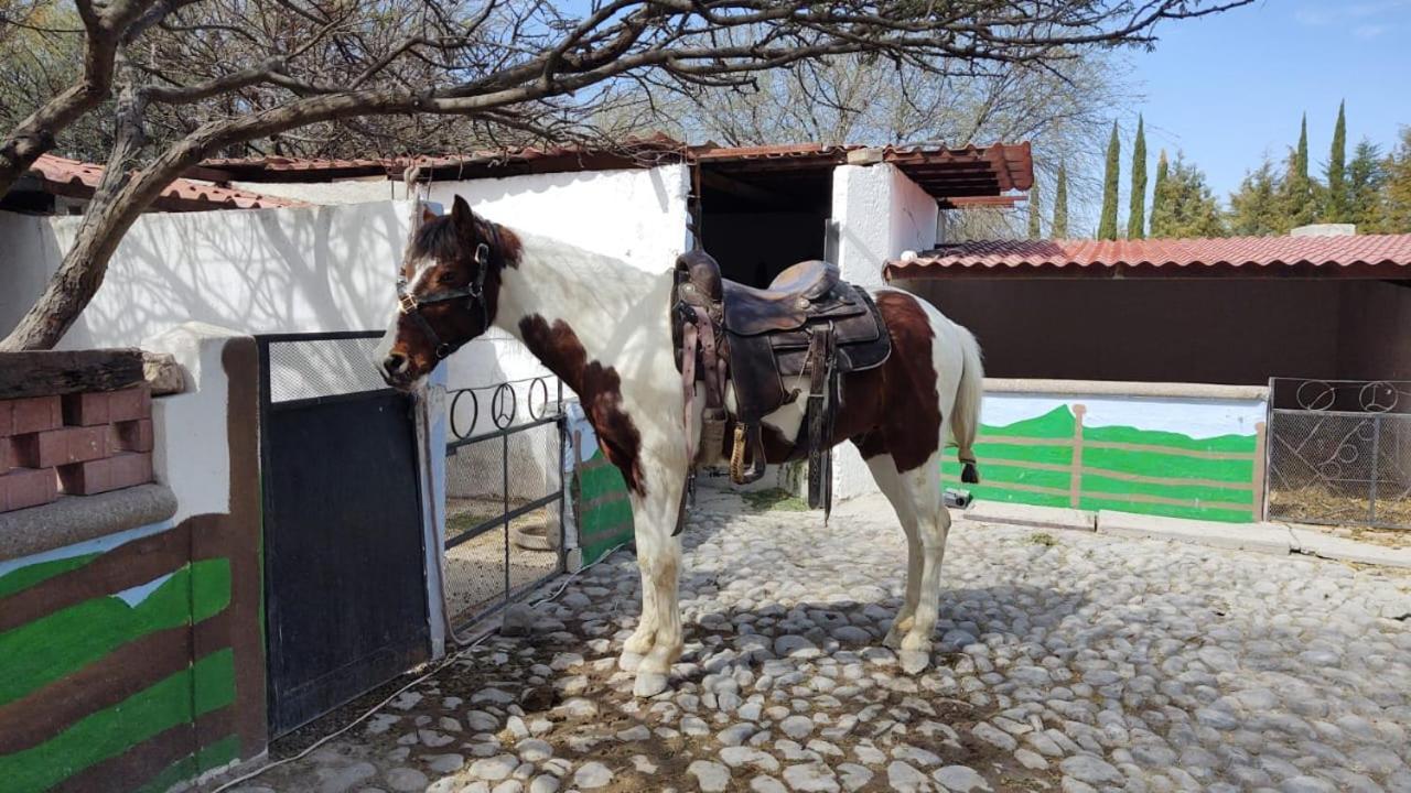 Rancho Labradores Atotonilco  ภายนอก รูปภาพ